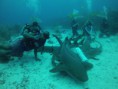 /album/fotogaleria-photo-of-belize/nelson-carvalheiro-belize-2-jpg/