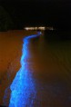/album/fotogaleria-photo/fyto1-jpg/