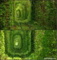 /album/fotogaleria-photo-of-the-world/tunel-lasky-ukrajina-jpg/